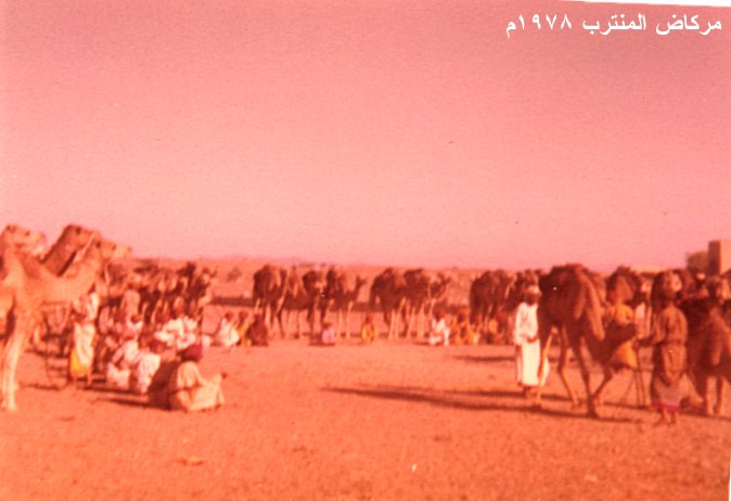 ركض العرضة