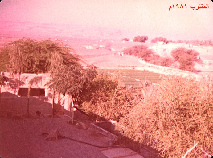 النخيل والأفلاج في بدية