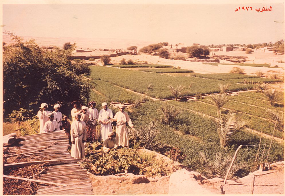 النخيل والأفلاج في بدية