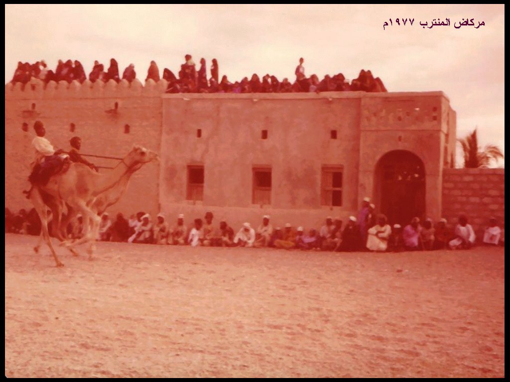 ركض العرضة