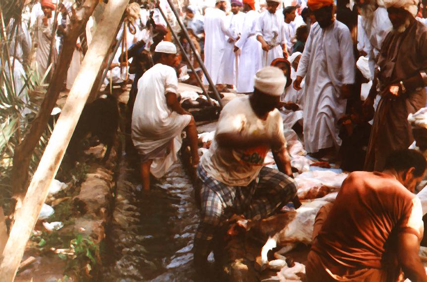 عيد الاضحى ذبح الاضاحي