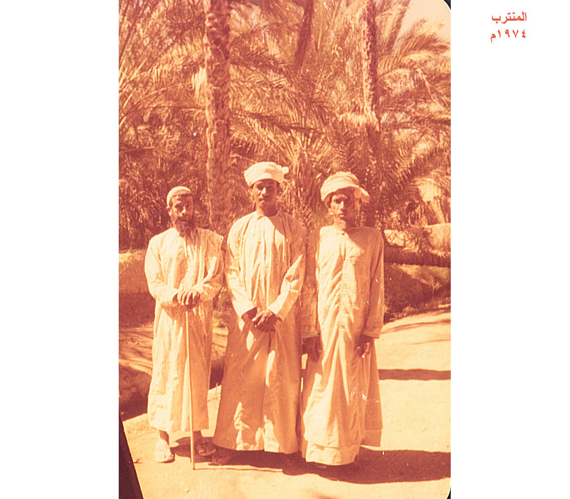 النخيل والأفلاج في بدية