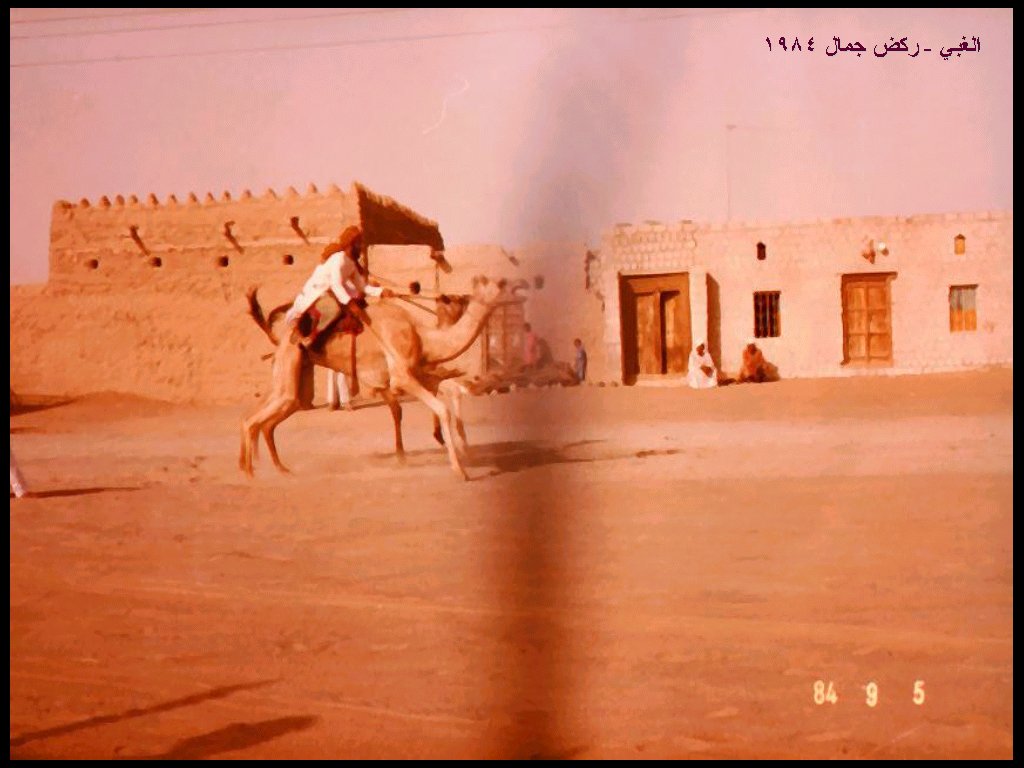 سباقات الخيل في بدية