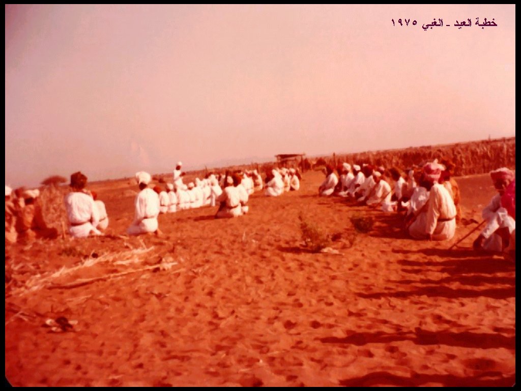 سباقات الهجن في بدية