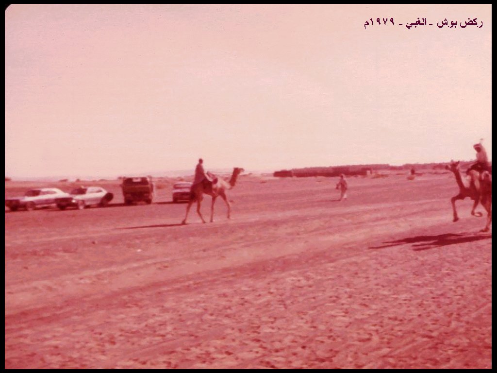 سباقات الخيل في بدية