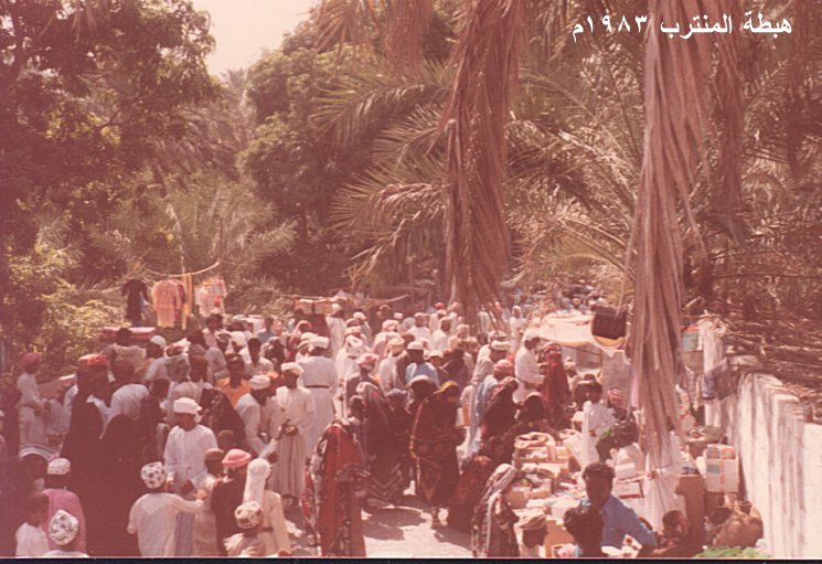 هبطة سات