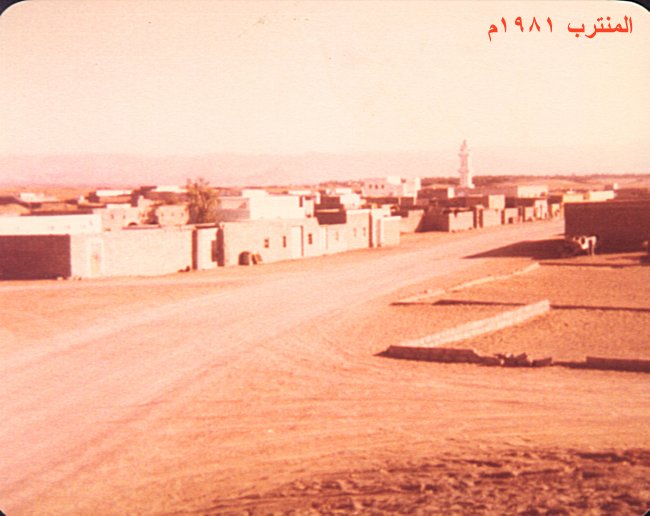 المنترب 1981