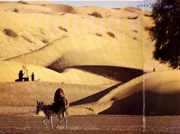 صورة من الماضي