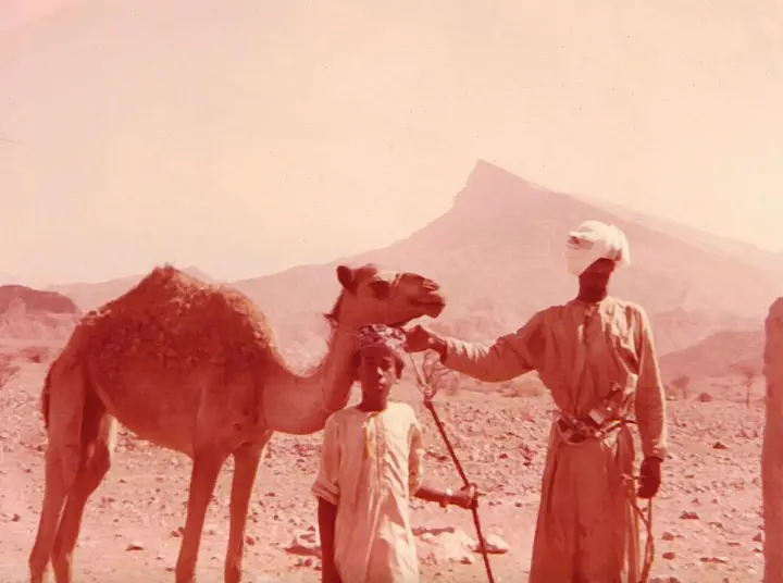 سباقات الهجن في بدية