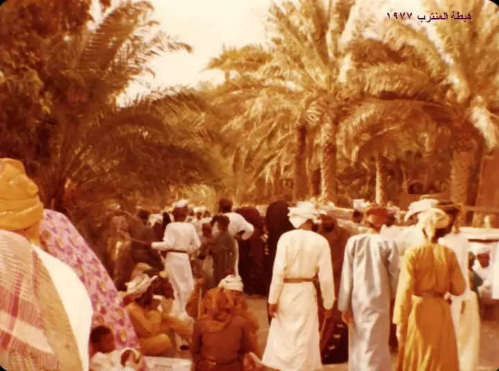 النخيل والأفلاج في بدية