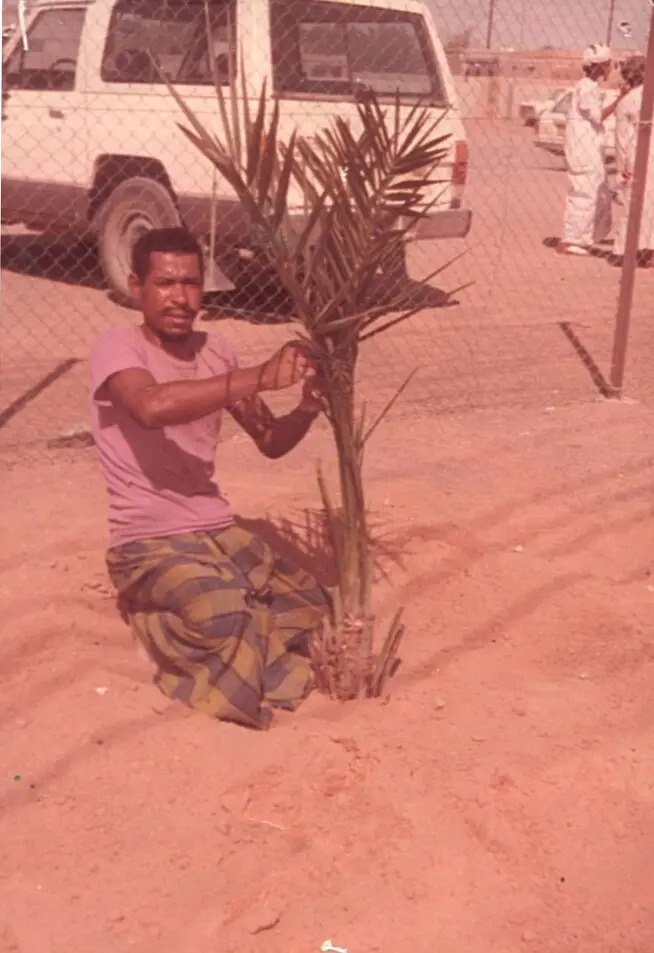 معسكر تشجير نادي بدية الرياضي 1983