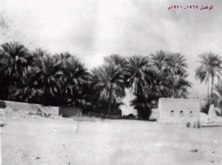 النخيل والأفلاج في بدية