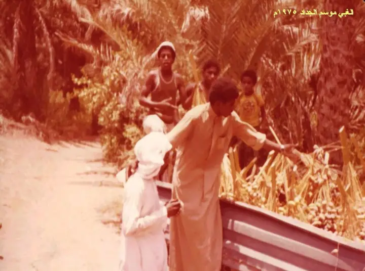 النخيل والأفلاج في بدية