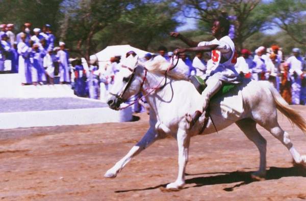 سباقات الخيل
