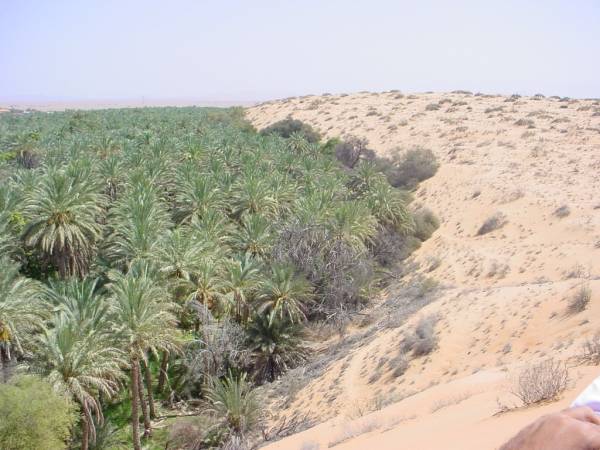 الحوية 2002
