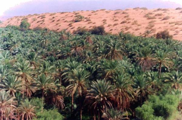 الحوية 2002