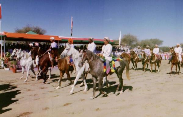 سباقات الخيل