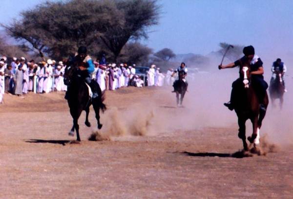 سباقات الخيل