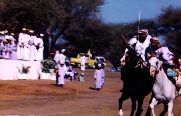 سباقات الخيل
