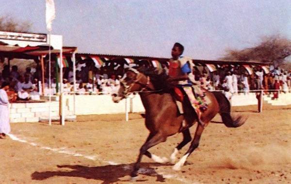 سباقات الخيل