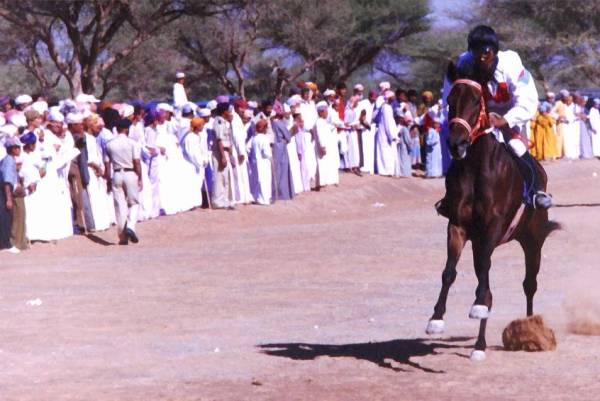 سباقات الخيل