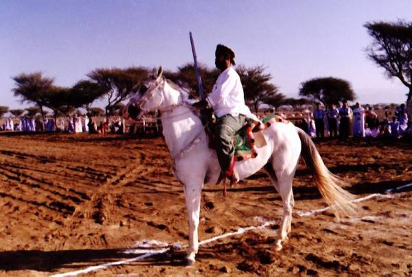 سباقات الخيل