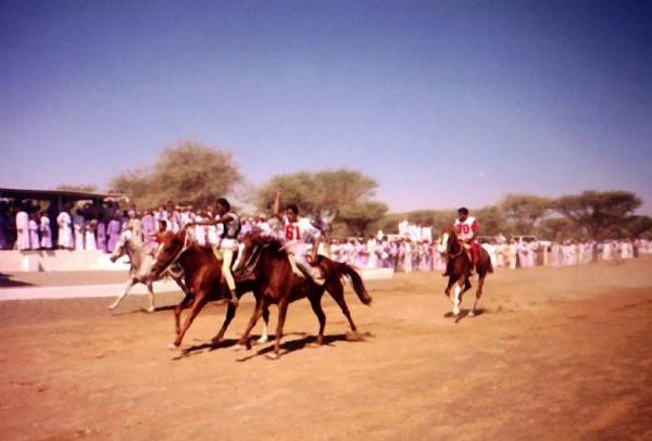 سباقات الخيل
