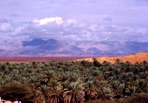 الحوية 2002