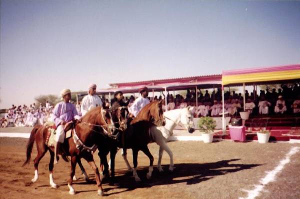 سباقات الخيل