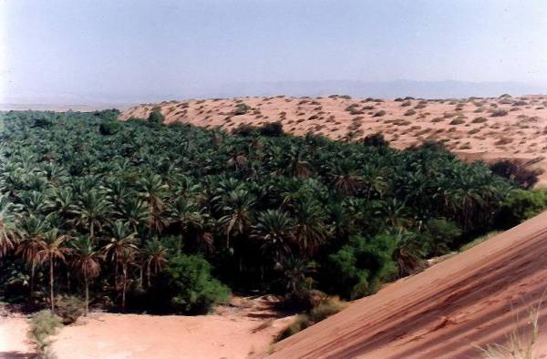 الحوية 2002