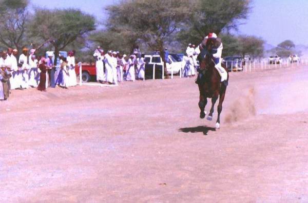سباقات الخيل