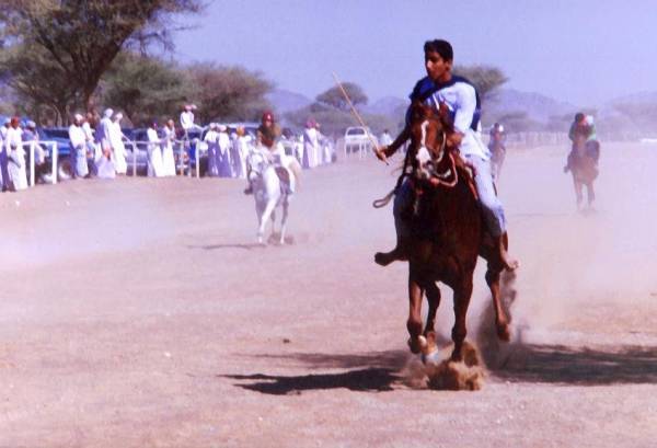 سباقات الخيل