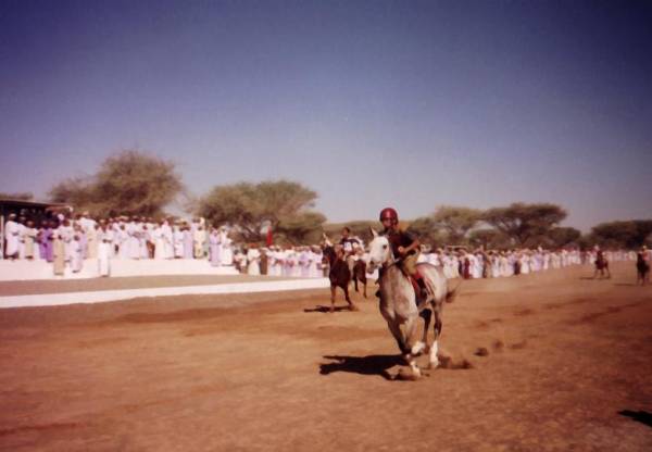 سباقات الخيل